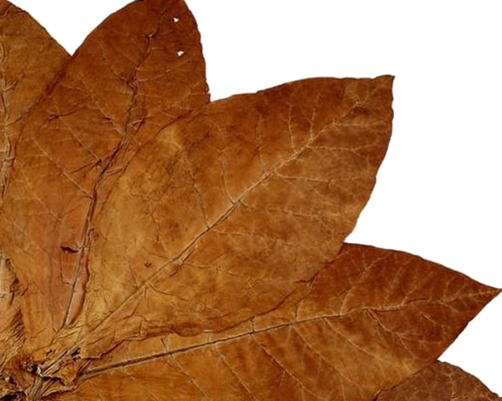 Pipe Tobacco - Samuel Gawith Navy Flake - Tin Of 50G